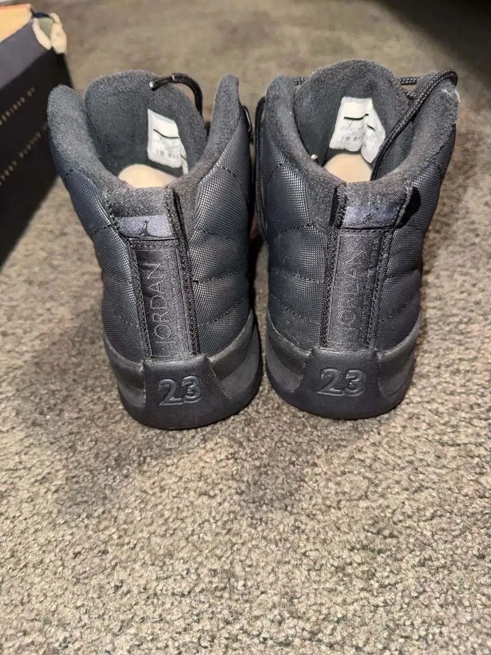 Jordan 12 retro
